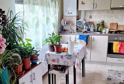 Casă cu 2 camere cu Teren 457 Mp în Central - 1