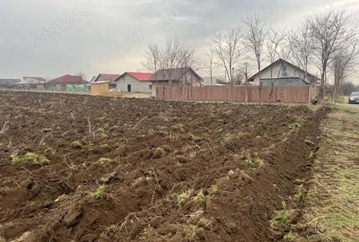 Teren de 2000 mp, în Vasile Alecsandri - 4