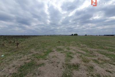 COMISION 0% Teren intravilan 1255 mp cu Puz aprobat, zona Giroc - 9