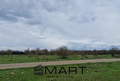 Teren Construcții intravilan de 533 mp, în Sânpetru - 4