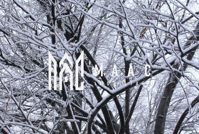 Teren Construcții intravilan de 20000 mp, în Dângești - 29