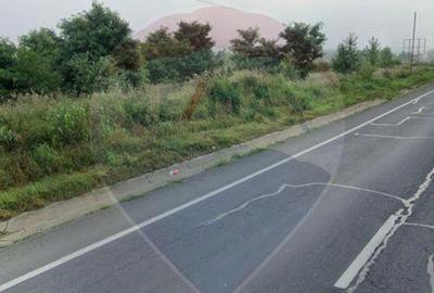 Teren vanzare la DN79 Dolj, Bradesti - 7