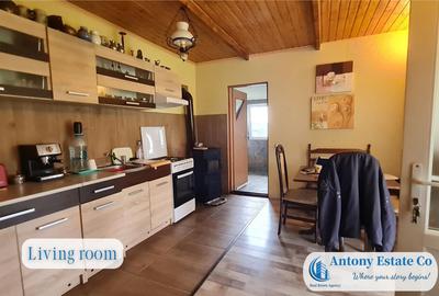 Green Field - casa de , 10 KM de Oradea, Betfia, Bihor - 12