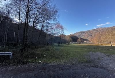Teren 16,800mp Valea lui Stan / Strada Vultureasa - 3