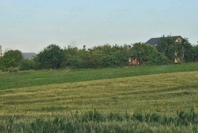 Teren de 11860 mp, în Călugăreni - 1