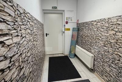 Casa cu 6 camere, 320 mp, Gradinita Rezidentiala, Parcul Carol - 12
