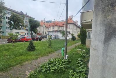 Apartament cu 1 camere de inchiriat in zona Central - 13