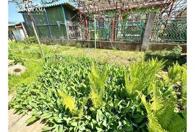 Casă cochetă de vânzare - Cartierul Moșnei Casă cochetă de vânzare - Cartierul Moșnei - 11