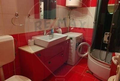 Apartament cu 2 camere, mobilat în Sud-Vest - 8