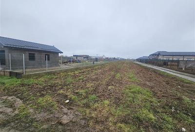 Teren intravilan Darasti - Ilfov - 3