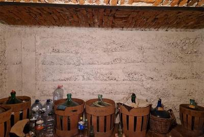 Poveste saseasca la umbra vitei de vie, cu crama si gradina cu flori, Central Co - 44