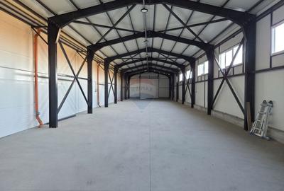 Hala plus spatiu birouri, zona Strada Vrancei - 6