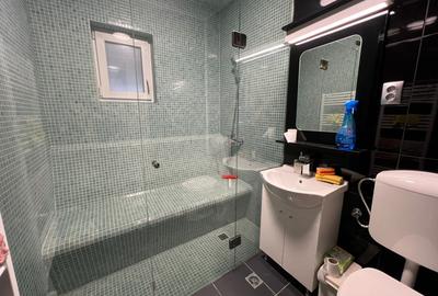 Triplex dispus pe 3 nivele, zona Teilor cu garaj subteran - 6