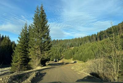 De vanzare 6850 mp pasune langa Manastirea Doroteia - Frasin /Plutonita - 18