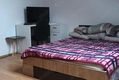 Garsonieră nedecomandată în Terezian - 4