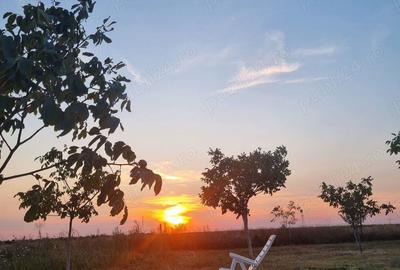 Teren de 10000 mp, în Livada - 4