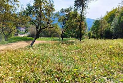 Spațiu comercial, în Nucșoara - 3