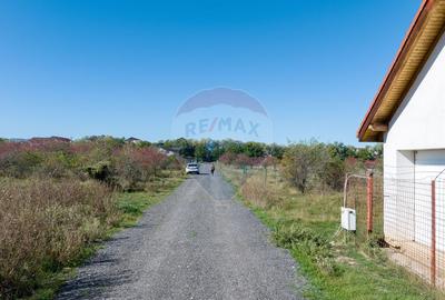 Teren Sanpetru -livada, Strada Nucului, 1296mp, apa, gaz, curent - 8