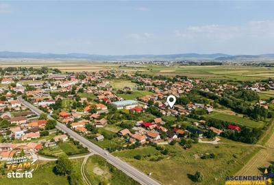 Spațiu comercial, în Catalina - 1