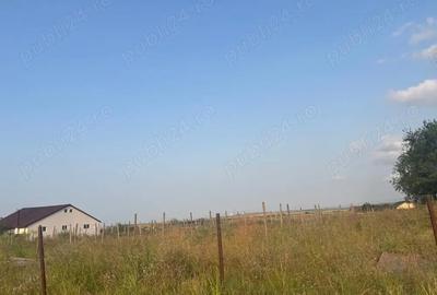 Teren de 5000 mp, în Mineri - 1