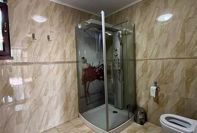 Vila Sat Costi 340mp construiti  teren 464mp Comisio0?0% - 17