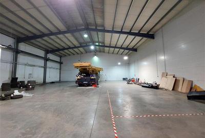 Spațiu industrial, de 600 mp, în Micălaca - 2