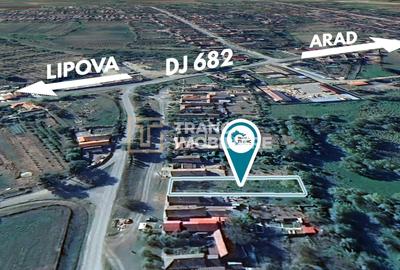 Teren agricol intravilan de 691 mp, în Zăbrani - 3