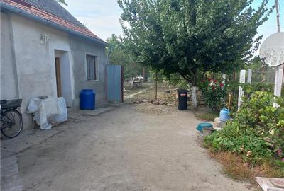 Casă cu 3 camere în Gaiu Mic - 7