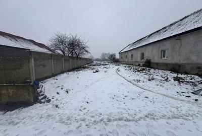 Teren de 1740 mp, în Dudeștii Noi - 2