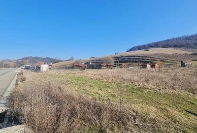 Teren intravilan de vânzare Ivanesti, Com Livezeni