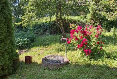 Casă cu Teren 750 Mp în Valea Moldovei - 1
