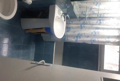 Apartament cu 2 camere semidecomandat în Brazda lui Novac - 8