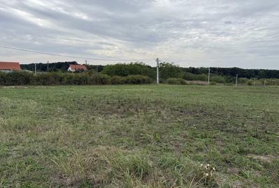 Spațiu comercial, în Păușa - 3