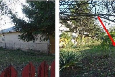 Teren de 5100 mp, în Bolintin-Deal - 3