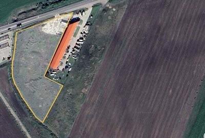 Teren de 10100 mp, în Horia - 4