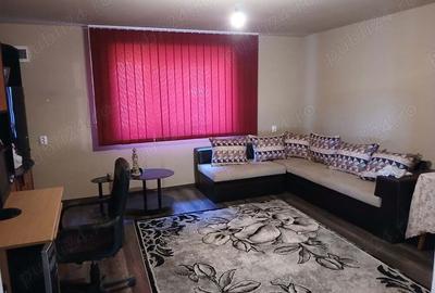 Casa in Barateaz Jud.Timis - 3