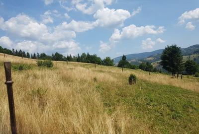 Teren Construcții extravilan de 7200 mp, în Arieșeni - 6