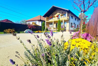 Casă cu 6 camere cu Teren 600 Mp în Drăguțești - 4