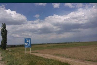 Teren în Tăbărăști - 6