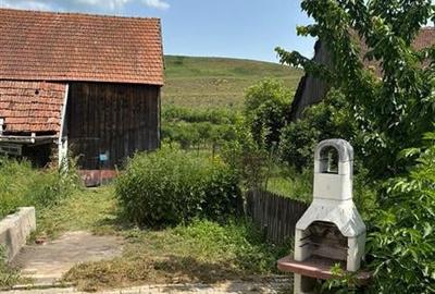 Casa cu teren 2741 MP la doar 6 km de Bod in Araci - 6