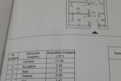 Garsonieră decomandată, mobilată în Costin Georgian - 4