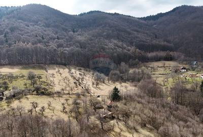 Teren Construcții intravilan de 24253 mp, în Predeluț - 4