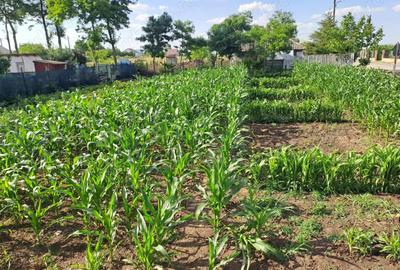 Casă cu 2 camere în Mereni - 1