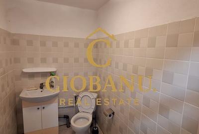 Hala de vanzare in Racarii de Jos - 7