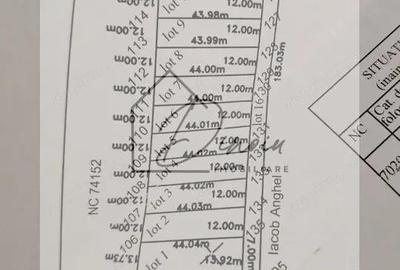 Teren intravilan Ciocanesti Cretu - 9282 mp divizat in 15 loturi - 3