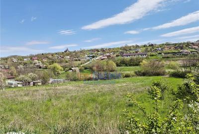 Spațiu comercial, în Orzeni