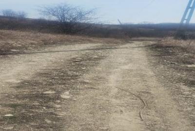 Teren de 5000 mp, în Brăești