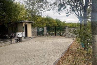 SE VINDE VILA CU DESCHIDERE LA LACUL SNAGOV LA CEL MAI MIC PRET - 5