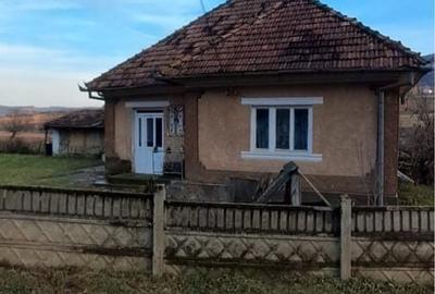 Casă cu 2 camere în Șoimeni - 8