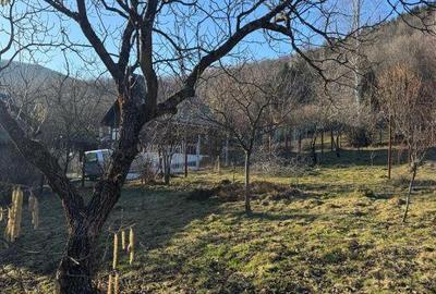 Casă cu 4 camere cu Teren 1000 Mp în Firiza